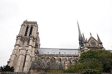 与好友一起撸猫 火爆放置游戏《邦戈猫》多人模式更新